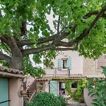 Le Vieux Tilleul - Maison De *