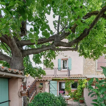 Le Vieux Tilleul - Maison De *