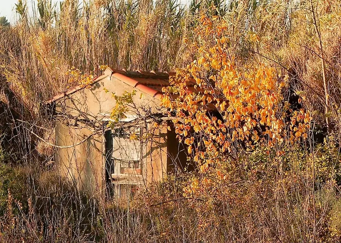 Le Vieux Tilleul - Maison De *