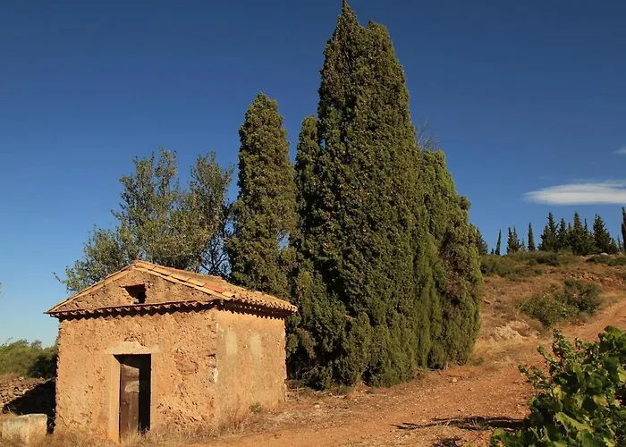 Le Vieux Tilleul - Maison De *